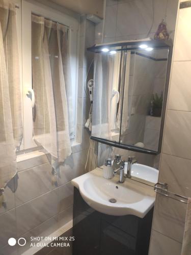 une salle de bain avec un lavabo et un miroir dans l'établissement Appart' Charmant Piccola Venezia, à Colmar