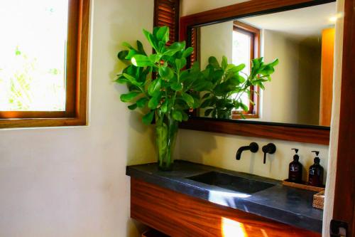 Uaymitun的住宿－Delos Luxury Villa，浴室设有水槽、镜子和植物