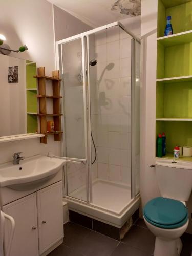 une salle de bain avec une douche, des toilettes et un lavabo dans l'établissement studio à l'océan au dessus des pins (plage & commerces à pied), à Seignosse