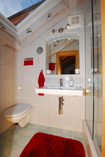 a bathroom with a sink and a toilet and a mirror at Haus Tasser in Mayrhofen