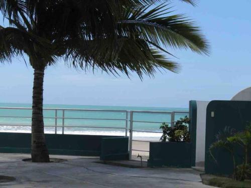 a palm tree sitting next to a beach with the ocean at Beachside apartment with 2 pools, Same, Esmeraldas in Volcán Chimborazo