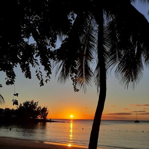 a sunset on the beach with a palm tree at Le Beau Manguier Residence Bed & Breakfast in Pereybere