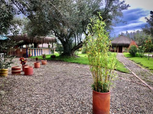 Zahrada ubytování Habitaciones Luna Campestre