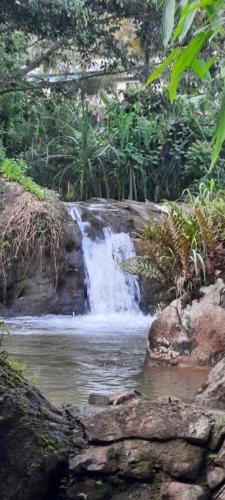 a waterfall in the middle of a forest at Linn View Home Stay Munnar in Munnar