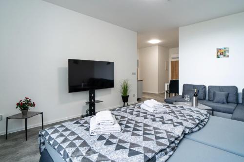 a bedroom with a bed and a tv and a couch at Apartmány Venuše in Ostrava