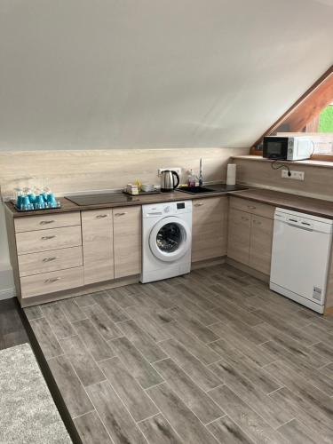 a kitchen with a washing machine and a washer at Platán Panzió in Csongrád