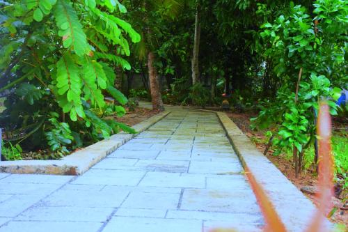a stone path in the middle of a forest at Forest Dew Udawalawa in Udawalawe