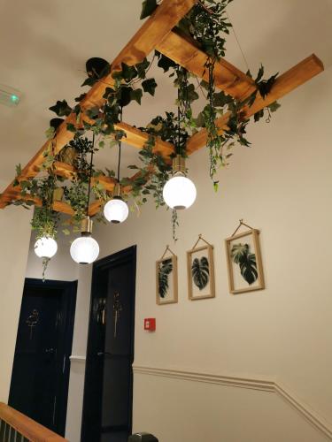 a room with lights and plants on the ceiling at Flamingo Lodge in Torquay