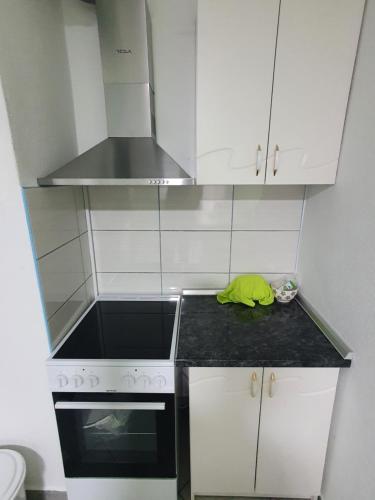a small kitchen with a stove and a sink at Stan u centru Prnjavor in Prnjavor