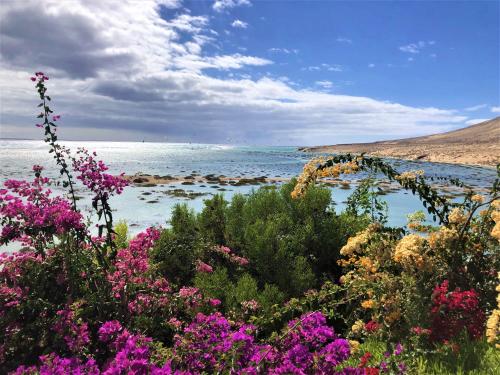 una vista del océano con flores en el primer plano en Jardin de Costa Calma, en Costa Calma