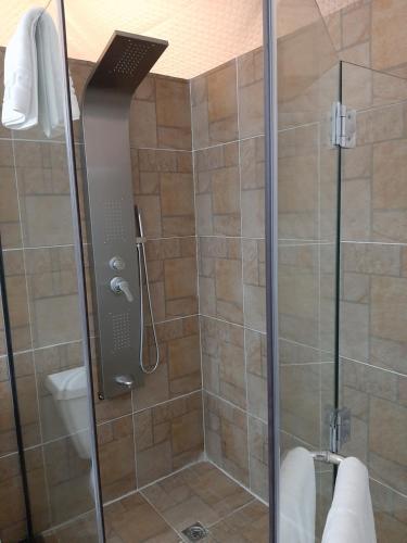 a shower with a glass door in a bathroom at The Rock Camp Petra in Wadi Musa