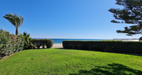 a lawn with a palm tree and the beach at Villa del Mar in Mazotos