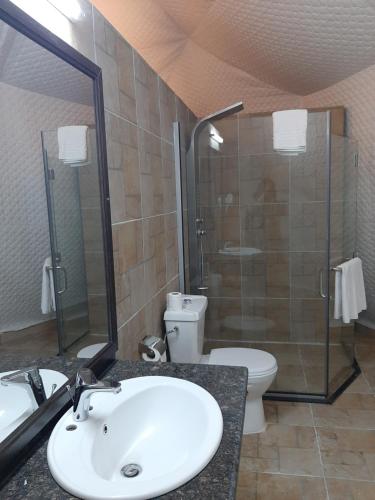 a bathroom with a sink and a toilet and a shower at The Rock Camp Petra in Wadi Musa