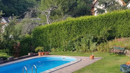 a swimming pool in a yard with a hedge at Ferienwohnung Lahr im Schwarzwald ,120 qm, sehr ruhig, nahe Europa Park Rust in Lahr