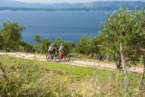 
Cycling at or in the surroundings of Bluesun Holiday Village Bonaca - All Inclusive
