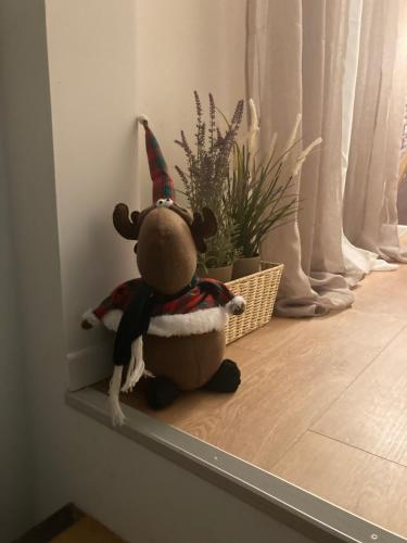 Un orsacchiotto con un cappello di Babbo Natale su uno scaffale. di Casa Viola a Grosseto