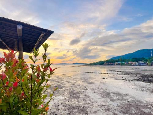 a plant on the beach with the ocean in the background at Baan Purada in Ko Lanta
