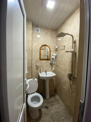 a bathroom with a toilet and a sink and a shower at Guest house chavchavadze N23 in Stepantsminda