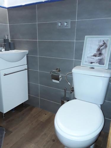a bathroom with a white toilet and a sink at Casa Marcelo in Proaza