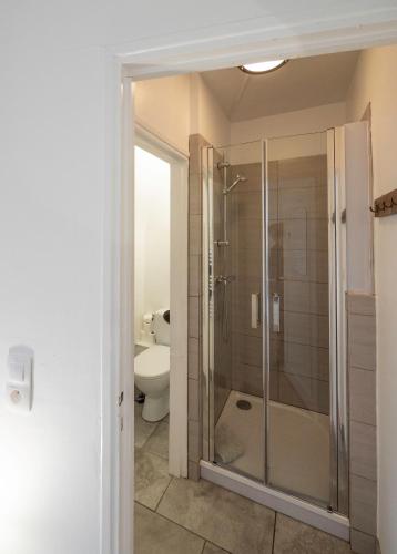 une salle de bain avec douche et toilettes dans l'établissement Horizons Verts Appartement Cerisier, à Puivert