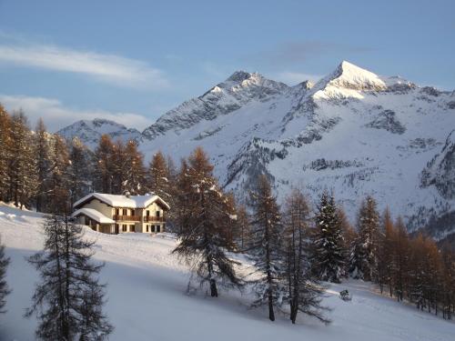 Le Coin des Mélèzes - NATURE & SKI
