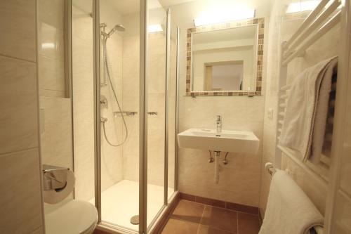 y baño con ducha, lavabo y aseo. en Apartmenthaus Dornröschen, en Ramsau am Dachstein