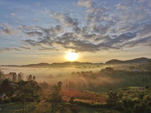 a misty sunrise over a field with the sun in the background at บ้านสุขอรุณ เขาค้อ Baan Sook A Roon KhaoKho in Khao Kho