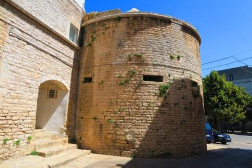 a large brick wall with weeds growing on it at LE SUITES AL TORRIONE in Ruvo di Puglia