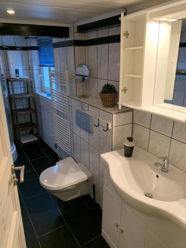a bathroom with a toilet and a sink at Hexenhäuschen Wankendorf in Wankendorf