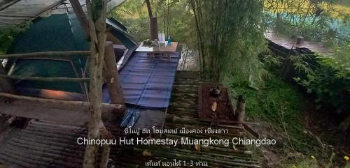 a picture of a set of stairs leading to a pool at Chinopuu Hut Homestay Muangkong ชิโนปู ฮัท โฮมสเตย์ เมืองคอง เชียงดาว in Mueang Khong