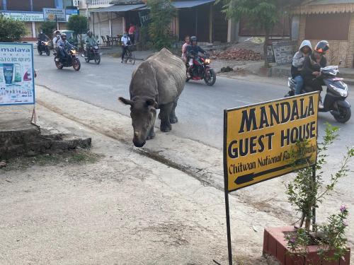 Fotografie z fotogalerie ubytování Mandala Guest House v destinaci Sauraha