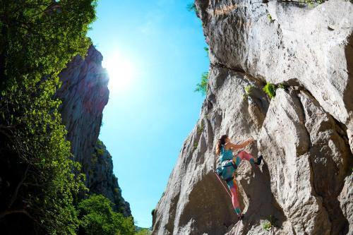 Gallery image of Bluesun Holiday Village Alan in Starigrad-Paklenica