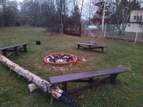 two picnic tables and a fire pit in a park at Gospodarstwo Agroturystyczne w Borszycach in Wola Pękoszewska