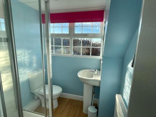 a blue bathroom with a toilet and a sink at Bullfinch House in Harleston