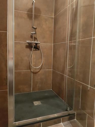 une douche avec une porte vitrée dans une salle de bain dans l'établissement Le Petit Studio, à Cosswiller