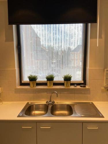a kitchen sink with two potted plants in a window at Apartment de Kerk in Sint-Gillis-Waas