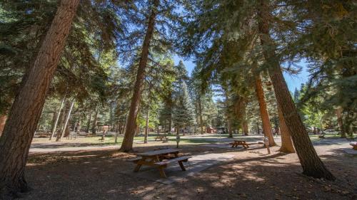 The Ponderosa Apartment – Photos 3