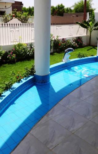 a bird is standing next to a swimming pool at The House Of Lights in Luxor