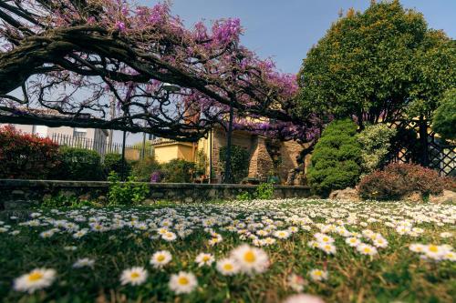 a field of flowers in front of a house at il Glicine B&B RISTORANTE in Cazzago San Martino