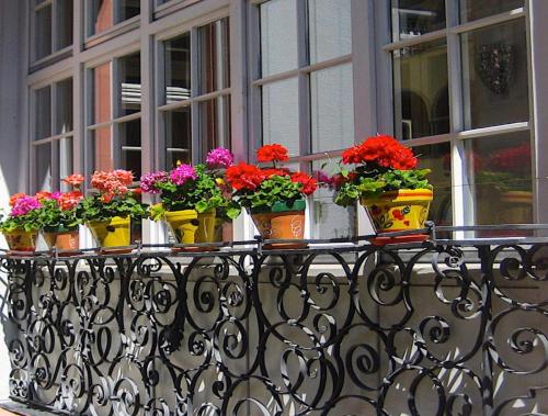 un gruppo di fiori in vaso su un balcone di Hotel Barbara a Friburgo in Brisgovia