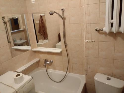 uma casa de banho com um chuveiro, um WC e um lavatório. em krynicka em Breslávia