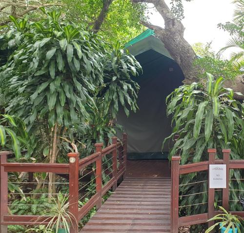 a wooden boardwalk leading to a tunnel with plants at Luxury Tented Village @ Urban Glamping in St Lucia
