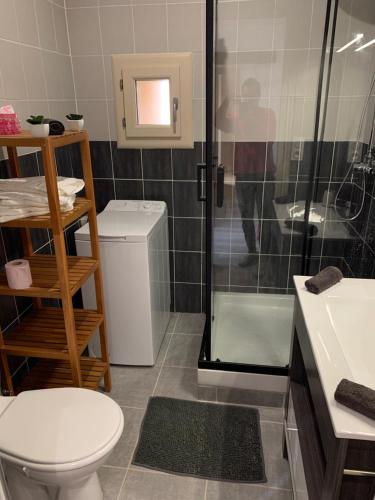een badkamer met een douche, een toilet en een wastafel bij Appartement le Marilyn in La Tour-du-Pin