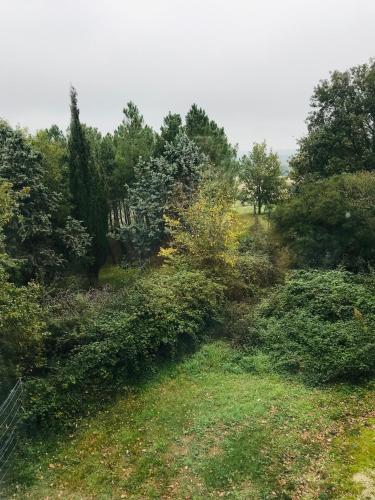 a view of a field with trees and bushes at Chateau de Faudade in Lévignac-sur-Save