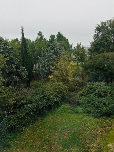 a view of a field with trees and bushes at Chateau de Faudade in Lévignac-sur-Save