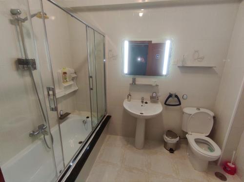 a bathroom with a shower and a toilet and a sink at Apartamento Paseo del Puerto in Finisterre