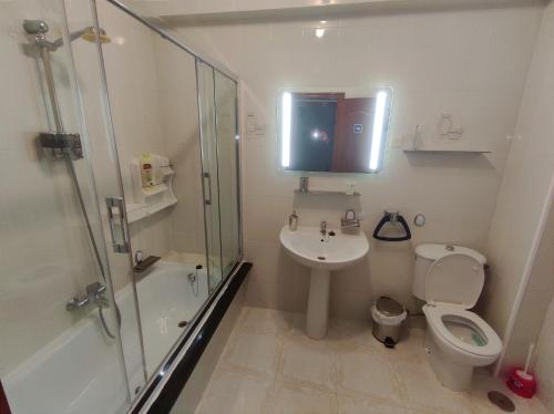 フィニステレにあるApartamento Paseo del Puertoのバスルーム(シャワー、トイレ、シンク付)