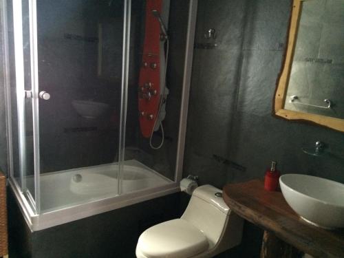 a bathroom with a shower and a toilet and a sink at Centro Turistico Muscaria in Malalcahuello
