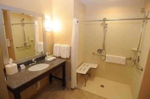 La salle de bains est pourvue d'un lavabo et d'une douche. dans l'établissement Holiday Inn Express Somerset, an IHG Hotel, à Somerset