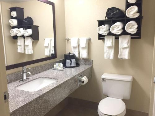 a bathroom with a toilet and a sink and a mirror at Best Western Plus Birmingham Inn & Suites in Birmingham